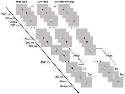 Working Memory Load Effects on the Tilt Aftereffect